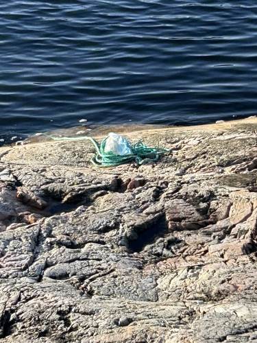 Her sitter teina godt fast i land